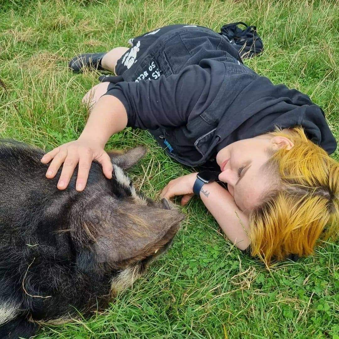Gemma and Roy the Pig lying in a field at Deans Farm Trust Charity Farm